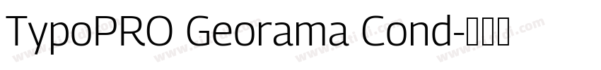 TypoPRO Georama Cond字体转换